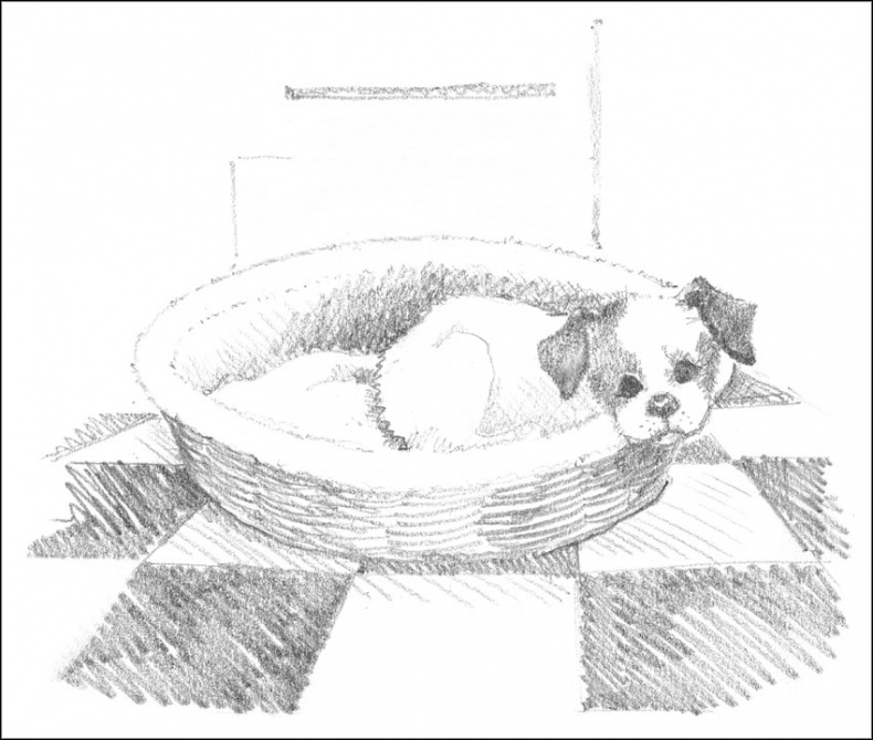 Иллюстрация к книге — Щенок Гарри, или Здравствуй, дом! [_078.jpg]