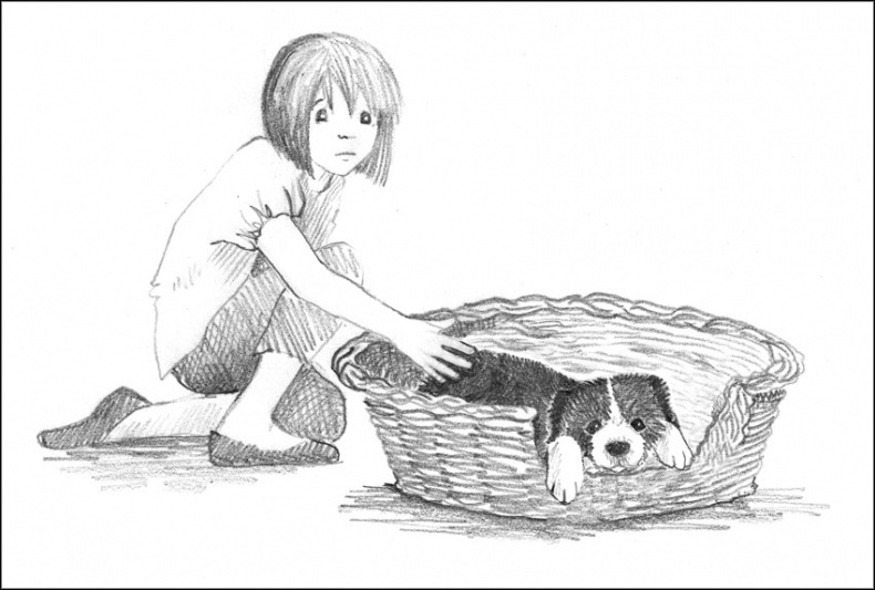 Иллюстрация к книге — Щенок Джесс, или Давай дружить! [_041.jpg]