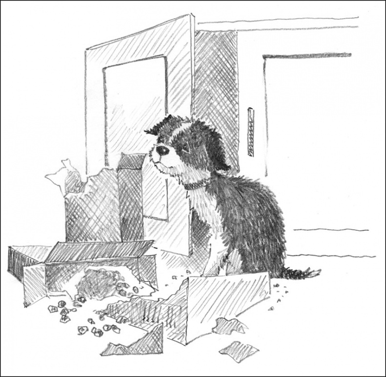 Иллюстрация к книге — Щенок Джесс, или Давай дружить! [_046.jpg]