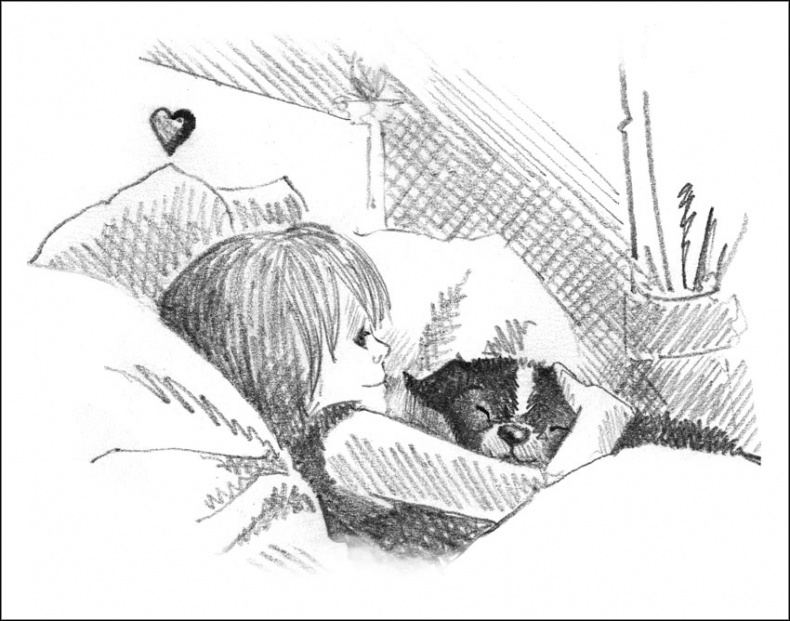 Иллюстрация к книге — Щенок Джесс, или Давай дружить! [_056.jpg]