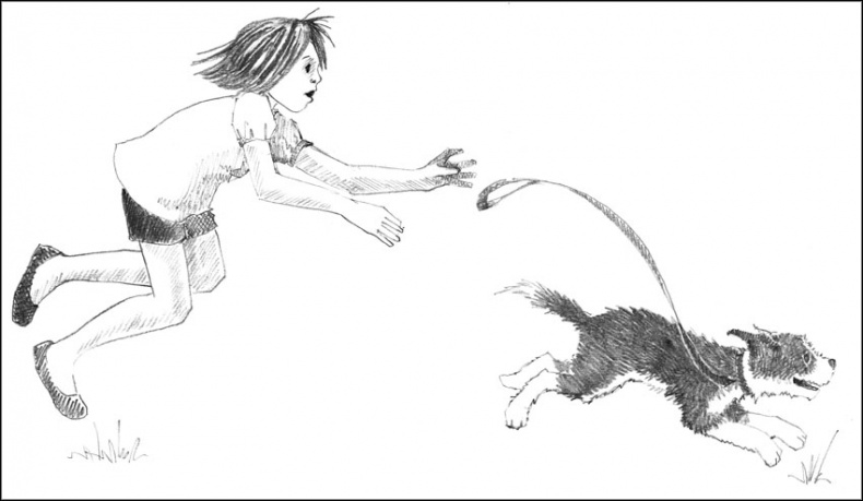 Иллюстрация к книге — Щенок Джесс, или Давай дружить! [_068069.jpg]