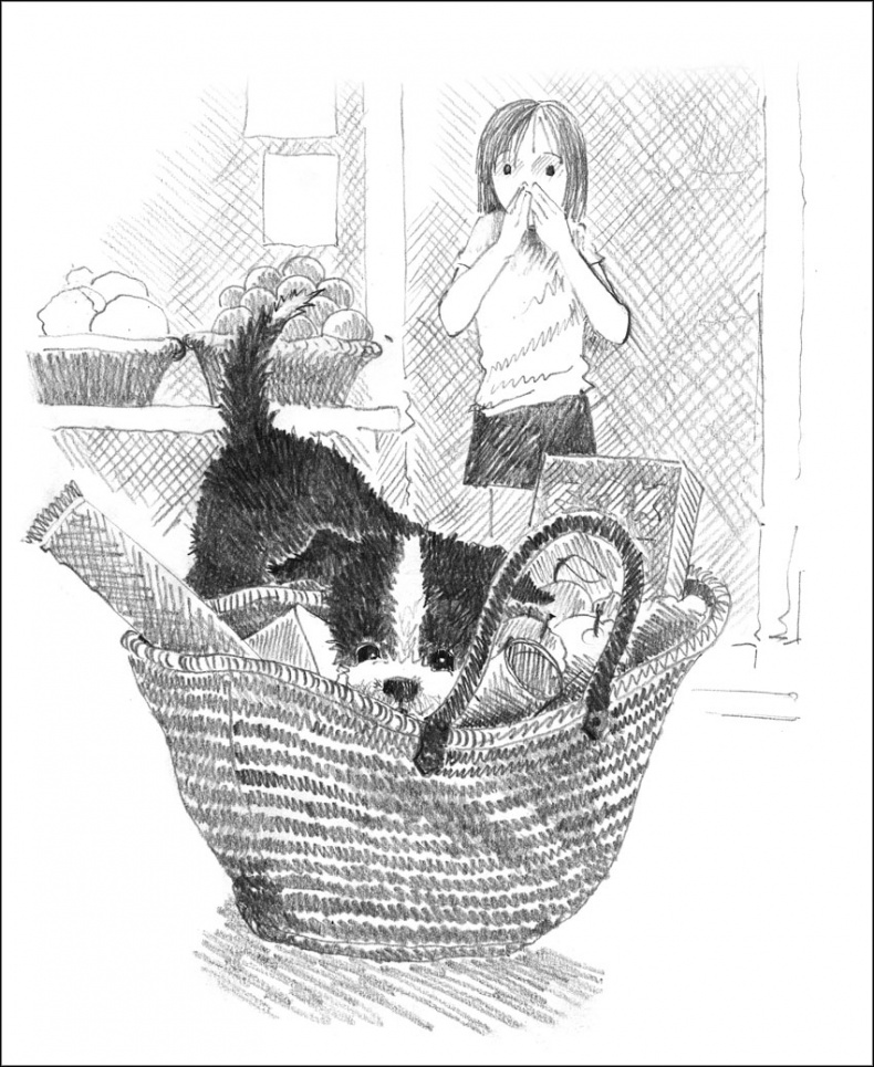 Иллюстрация к книге — Щенок Джесс, или Давай дружить! [_086.jpg]