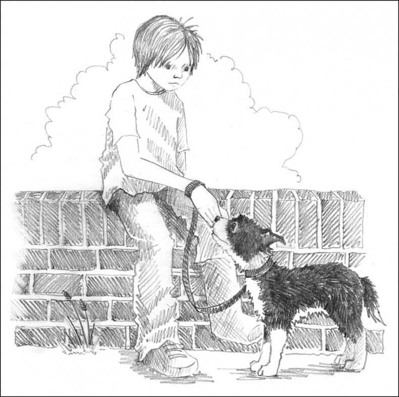 Иллюстрация к книге — Щенок Джесс, или Давай дружить! [_131.jpg]