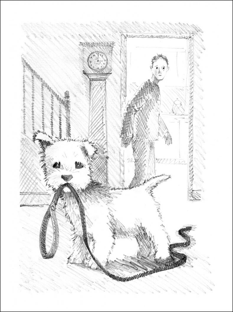 Иллюстрация к книге — Щенок Элфи, или Не хочу быть один! [_063.jpg]