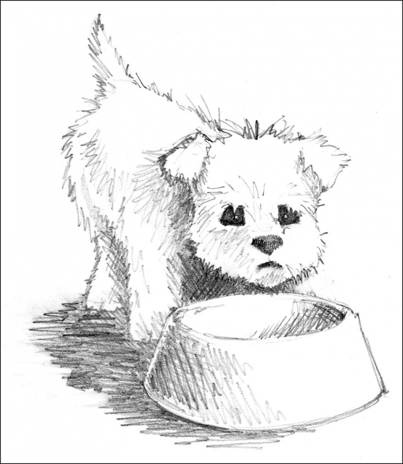 Иллюстрация к книге — Щенок Элфи, или Не хочу быть один! [_076.jpg]