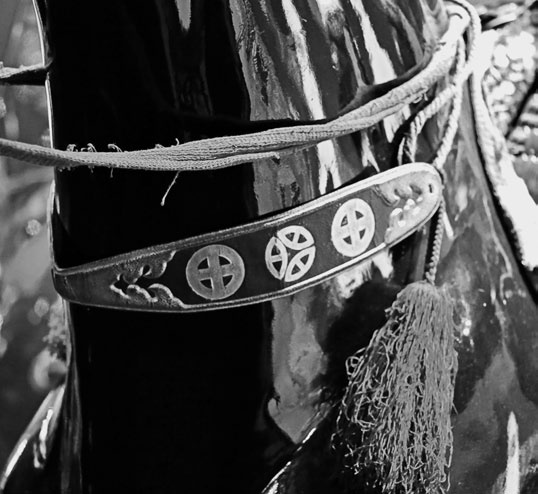 Иллюстрация к книге — Как было на самом деле. Дон Кихот или Иван Грозный [i_158.jpg]