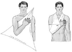 Иллюстрация к книге — Безопасность ребенка. Первая помощь [Autogen_eBook_id15.jpg]