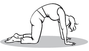 Иллюстрация к книге — Главная российская книга мамы. Беременность. Роды. Первые годы [i_017.jpg]