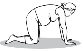 Иллюстрация к книге — Главная российская книга мамы. Беременность. Роды. Первые годы [i_123.jpg]