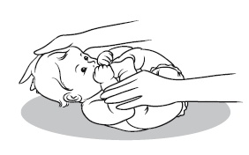 Иллюстрация к книге — Главная российская книга мамы. Беременность. Роды. Первые годы [i_218.jpg]