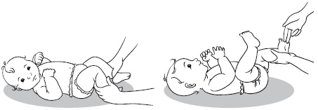 Иллюстрация к книге — Главная российская книга мамы. Беременность. Роды. Первые годы [i_219.jpg]