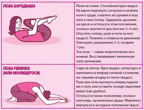 Иллюстрация к книге — Беременность и роды - обыкновенное чудо. Первая книга будущей мамы [Autogen_eBook_id10.jpg]