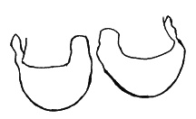 Иллюстрация к книге — Как говорить с дочкой! Самые сложные вопросы. Самые важные ответы [Autogen_eBook_id17.jpg]