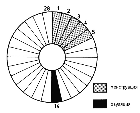 Иллюстрация к книге — Как говорить с дочкой! Самые сложные вопросы. Самые важные ответы [Autogen_eBook_id54.jpg]