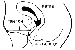 Иллюстрация к книге — Как говорить с дочкой! Самые сложные вопросы. Самые важные ответы [Autogen_eBook_id58.jpg]