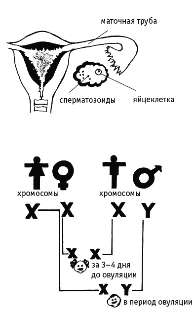 Иллюстрация к книге — Как говорить с дочкой! Самые сложные вопросы. Самые важные ответы [Autogen_eBook_id62.jpg]