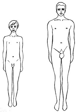Иллюстрация к книге — Как говорить с сыном. Самые сложные вопросы [_032.jpg]