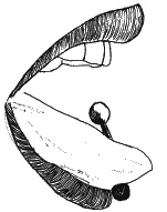 Иллюстрация к книге — Как говорить с сыном. Самые сложные вопросы [_100.jpg]