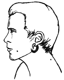 Иллюстрация к книге — Как говорить с сыном. Самые сложные вопросы [_102.jpg]