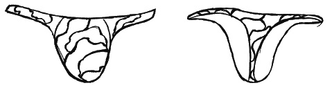 Иллюстрация к книге — Как говорить с сыном. Самые сложные вопросы [_115.jpg]