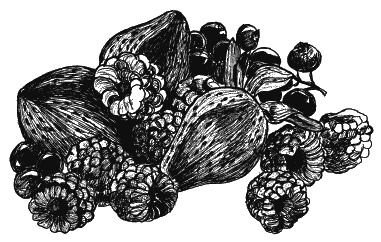 Иллюстрация к книге — Как говорить с сыном. Самые сложные вопросы [_127.jpg]