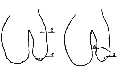 Иллюстрация к книге — Как говорить с сыном. Самые сложные вопросы [_168.jpg]