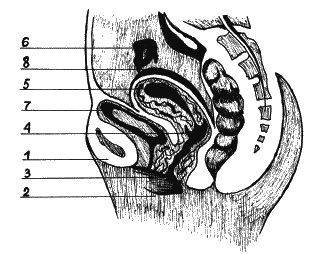 Иллюстрация к книге — Как говорить с сыном. Самые сложные вопросы [_190.jpg]