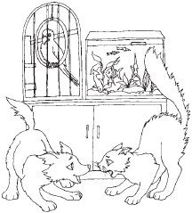 Иллюстрация к книге — Книга лучшей российской мамы. Малыш от года до 5 лет [Autogen_eBook_id158.jpg]