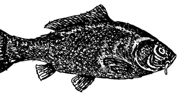 Иллюстрация к книге — Заметки пассажира. 24 вагона с комментариями и рисунками автора [i_023.jpg]