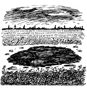 Иллюстрация к книге — Заметки пассажира. 24 вагона с комментариями и рисунками автора [i_057.jpg]