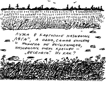 Иллюстрация к книге — Заметки пассажира. 24 вагона с комментариями и рисунками автора [i_058.jpg]