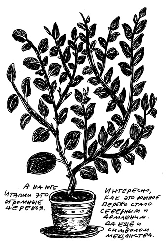 Иллюстрация к книге — Заметки пассажира. 24 вагона с комментариями и рисунками автора [i_064.jpg]