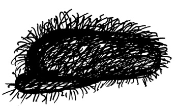 Иллюстрация к книге — Заметки пассажира. 24 вагона с комментариями и рисунками автора [i_106.jpg]