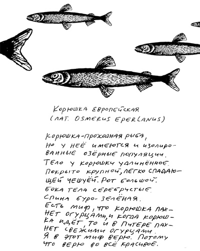 Иллюстрация к книге — Заметки пассажира. 24 вагона с комментариями и рисунками автора [i_158.jpg]