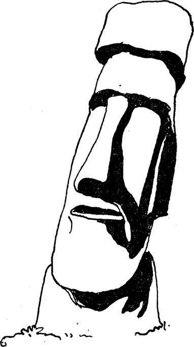 Иллюстрация к книге — Кон-Тики [i_002.jpg]