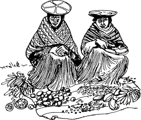 Иллюстрация к книге — Кон-Тики [i_009.jpg]