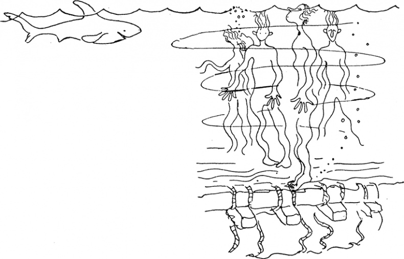 Иллюстрация к книге — Кон-Тики [i_014.jpg]