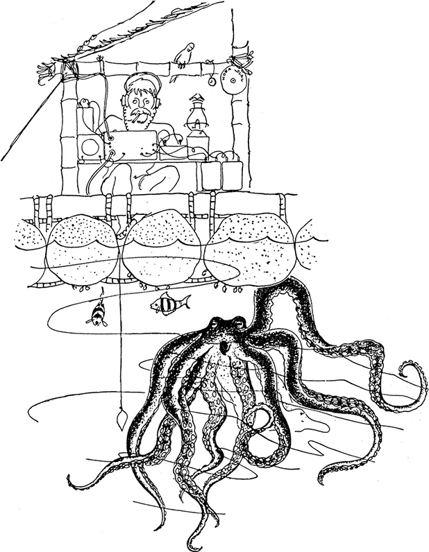 Иллюстрация к книге — Кон-Тики [i_025.jpg]