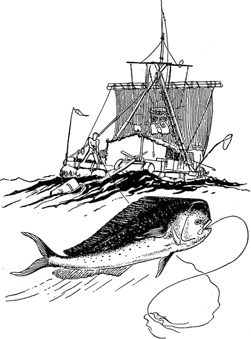 Иллюстрация к книге — Кон-Тики [i_035.jpg]