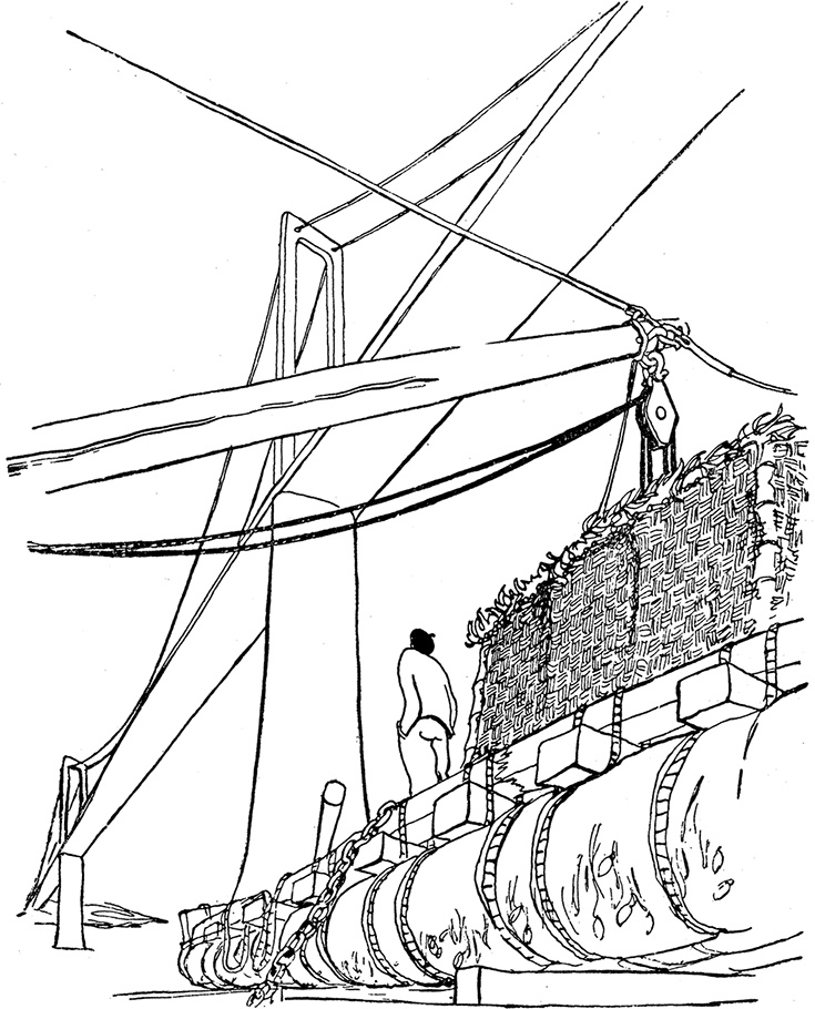 Иллюстрация к книге — Кон-Тики [i_057.jpg]