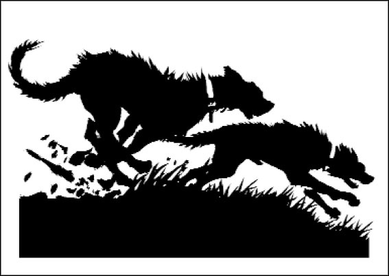 Иллюстрация к книге — Ошибка Ведьмака [gl6.jpg]