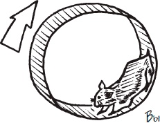 Иллюстрация к книге — Как стать законченным неудачником в жизни, в работе и во всем остальном. 44 с половиной шага к стойкой неполноценности [_14.jpg]