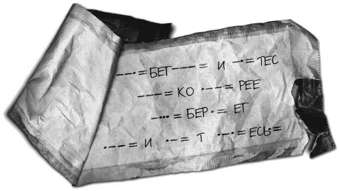 Иллюстрация к книге — Гнездо гадюки. Код императора [_089.jpg]