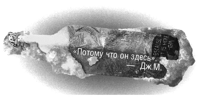 Иллюстрация к книге — Гнездо гадюки. Код императора [_494.jpg]