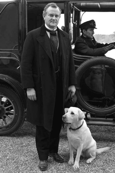 Иллюстрация к книге — Аббатство Даунтон. История гордости и предубеждений [binder1.pdfadobeacrobatpro_page_039_image_0001.jpg]