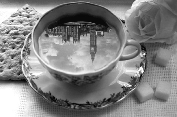 Иллюстрация к книге — Аббатство Даунтон. История гордости и предубеждений [binder1.pdfadobeacrobatpro_page_199_image_0001.jpg]