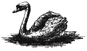 Иллюстрация к книге — Маскарад [i_018.jpg]