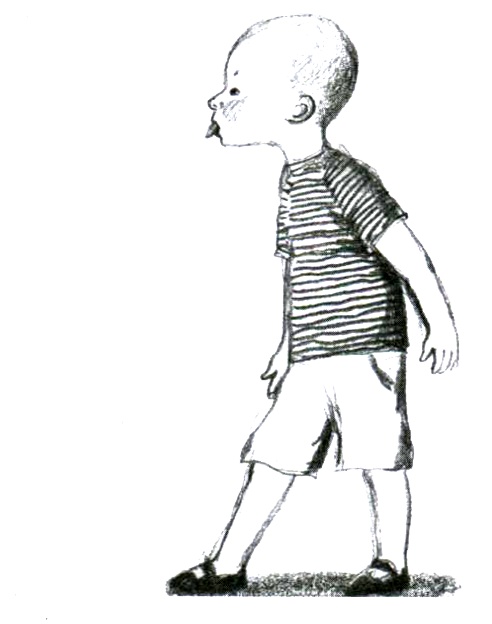 Иллюстрация к книге — Новые рассказы про Франца [i_005.jpg]