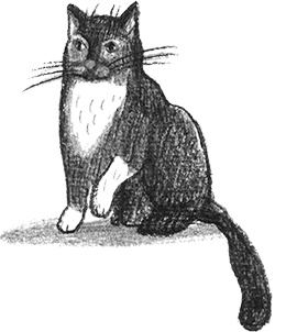 Иллюстрация к книге — Рассказы про Франца и любовь [i_011.jpg]