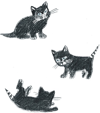 Иллюстрация к книге — Новые рассказы про Франца и школу [i_006.jpg]